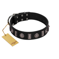 "Silver Spikes" Exclusive FDT Artisan Black Leather Doberman Collar