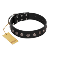 "Black Knight" Handmade FDT Artisan Black Leather Doberman Collar with Silver-Like Studs