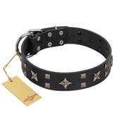 "Star Excitement" Modern FDT Artisan Black Leather Doberman Collar with Studs and Stars