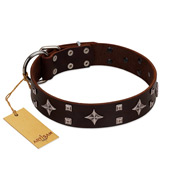 "Trendy Candy" FDT Artisan Brown Leather Doberman Collar Adorned with Stars and Tiny Squares