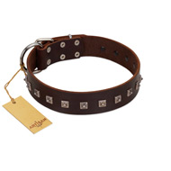 "Kingly Grace" FDT Artisan Brown Leather Doberman Collar with Silver-like Dotted Studs