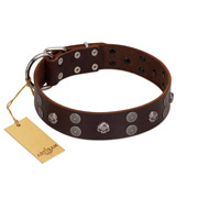 "Skull Valley" Handcrafted FDT Artisan Brown Leather Doberman Collar with Skulls