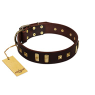 "Choco Delight" FDT Artisan Brown Leather Doberman Collar with Old Bronze-like Plates and Studs
