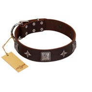"Cold Star" Designer FDT Artisan Brown Leather Doberman Collar with Silver-Like Adornments