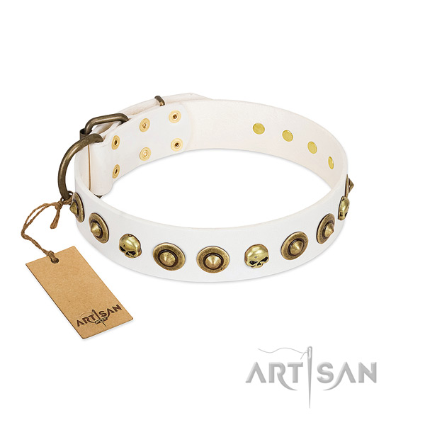 Genuine leather collar with significant embellishments for your doggie