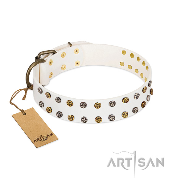Exceptional genuine leather dog collar with corrosion resistant adornments