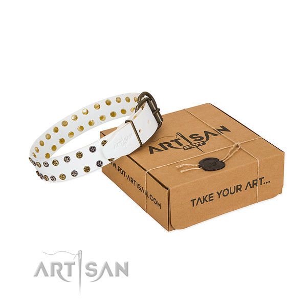 Unique natural leather dog collar with reliable embellishments