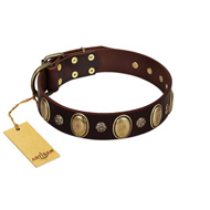 "Bronze Idol" FDT Artisan Brown Leather Doberman Collar with Eye-catching Ovals and Small Studs