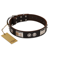 "Baller Status" FDT Artisan Brown Leather Doberman Collar Adorned with a Set of Chrome Plated Studs and Plates