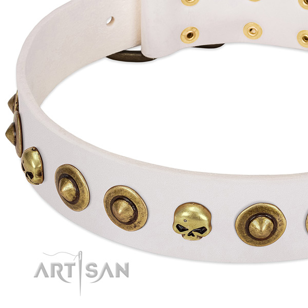 Amazing adornments on full grain genuine leather collar for your canine