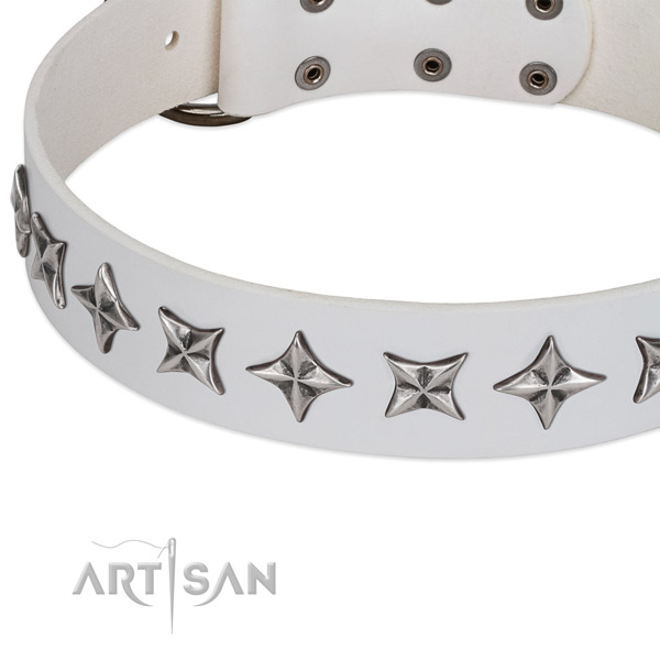 Stylish walking embellished dog collar of quality genuine leather