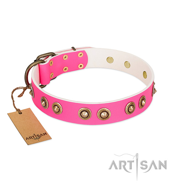 Trendy full grain leather dog collar for stylish walking