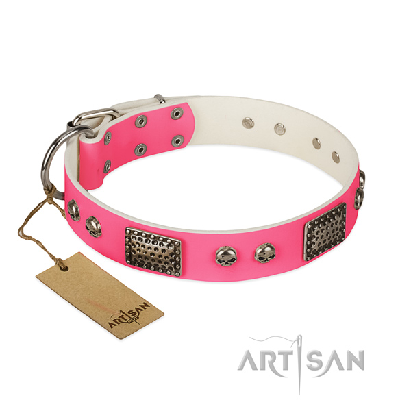Easy wearing natural leather dog collar for everyday walking your pet