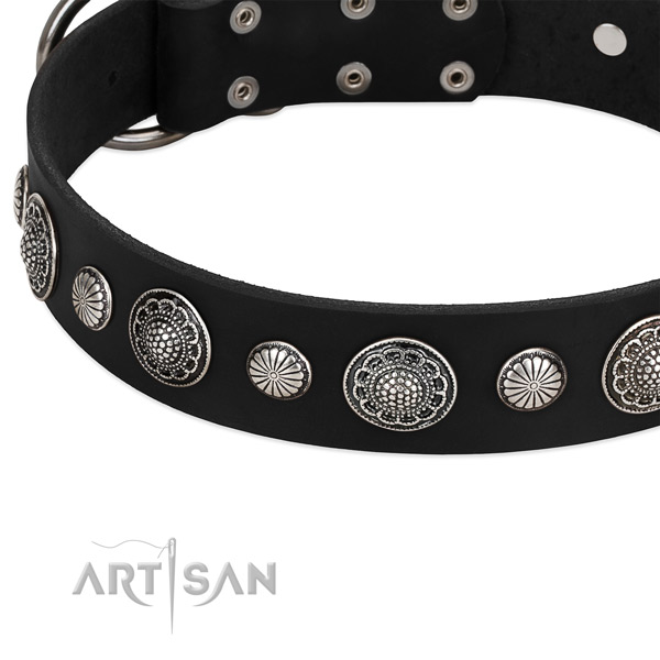 Full grain natural leather collar with reliable hardware for your impressive dog