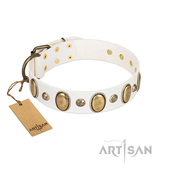 Full grain leather dog collar of reliable material with top notch embellishments
