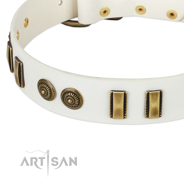 Reliable decorations on full grain natural leather dog collar for your canine