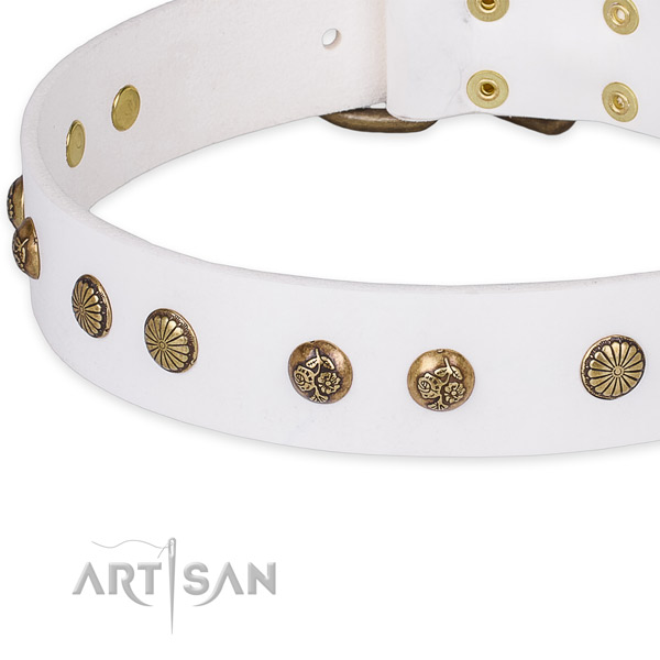 Natural genuine leather collar with corrosion resistant fittings for your lovely canine