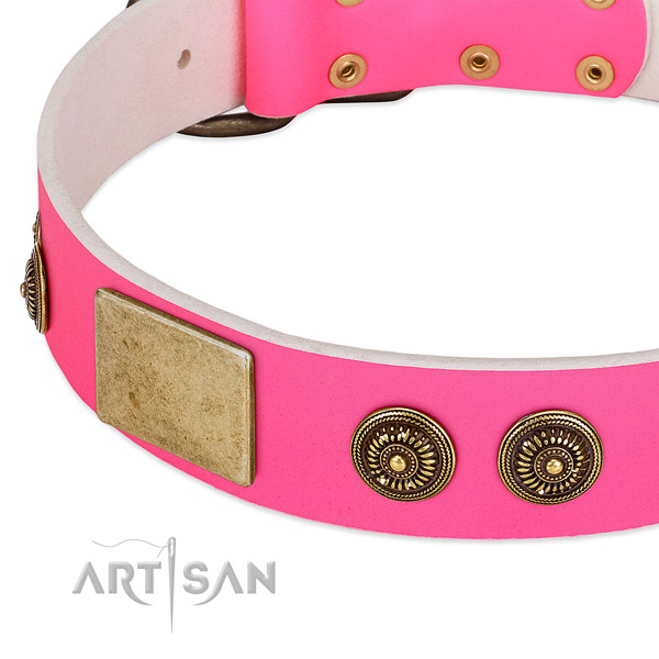 Fashionable dog collar created for your handsome four-legged friend