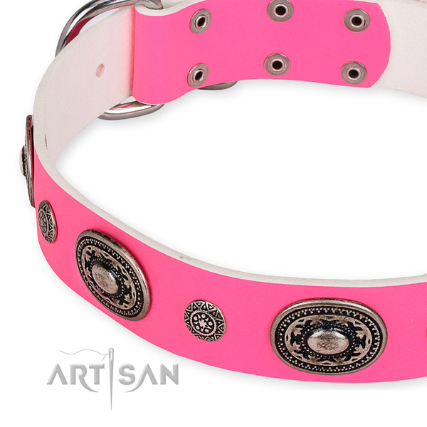 Leather dog collar with awesome strong decorations