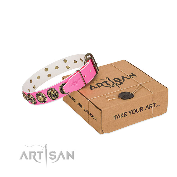 Rust resistant buckle on dog collar for daily walking