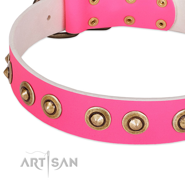 Corrosion proof decorations on genuine leather dog collar for your doggie