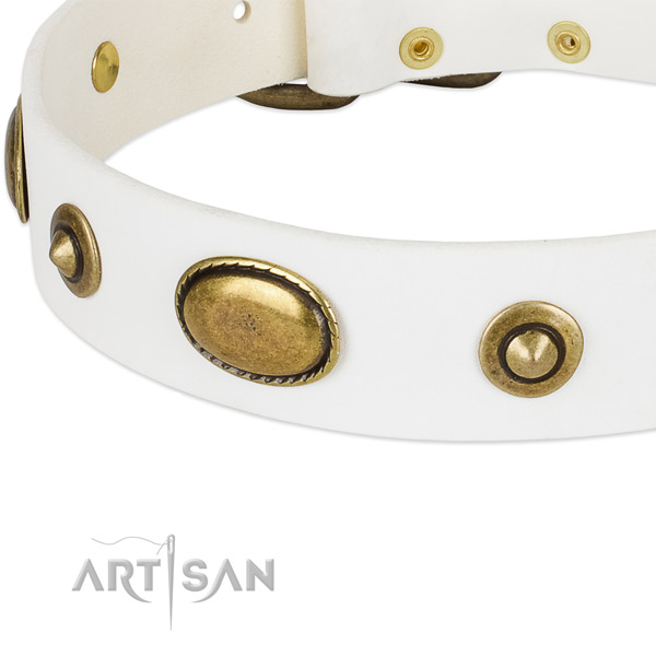 Durable adornments on full grain leather dog collar for your canine