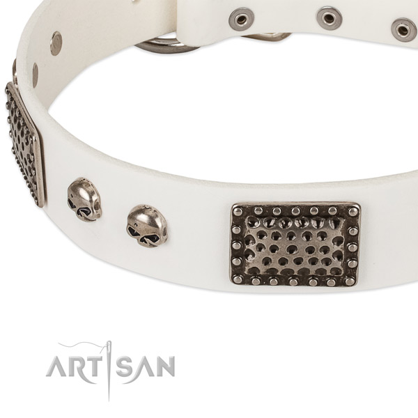 Corrosion resistant traditional buckle on full grain natural leather dog collar for your doggie