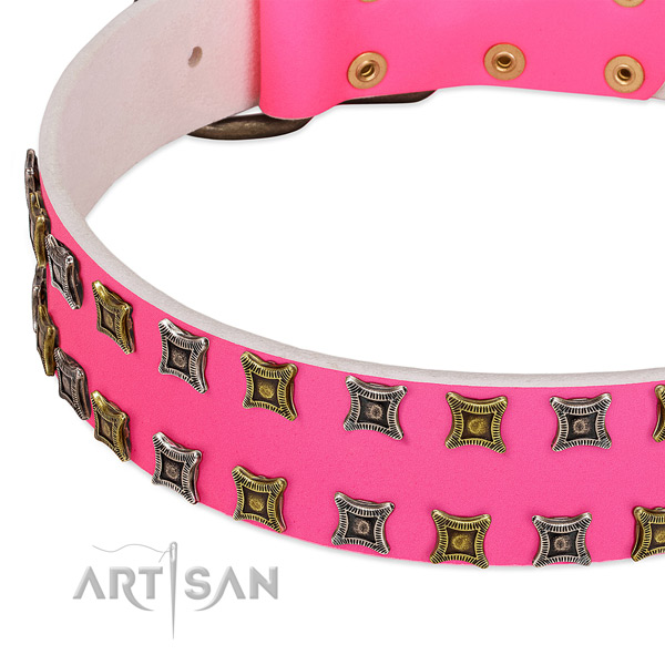 Full grain natural leather dog collar with fashionable studs