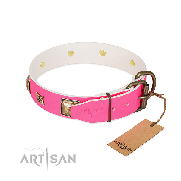 Rust-proof fittings on leather collar for basic training your four-legged friend