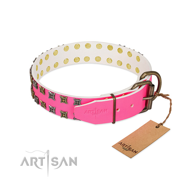Full grain genuine leather collar with unusual embellishments for your doggie