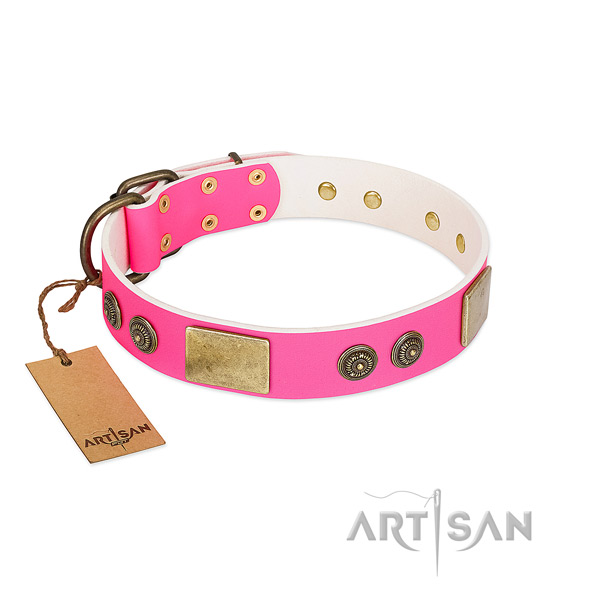 Top notch full grain natural leather dog collar for everyday use