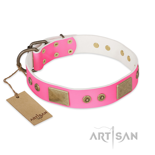 Easy wearing genuine leather dog collar for everyday walking your pet