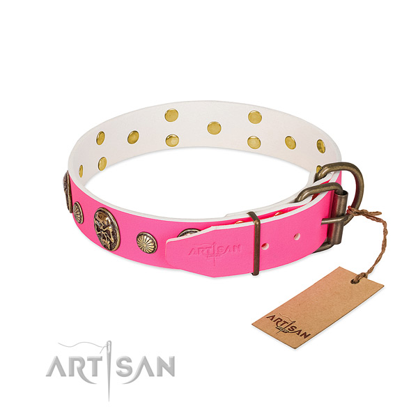Corrosion proof adornments on full grain genuine leather dog collar for your doggie