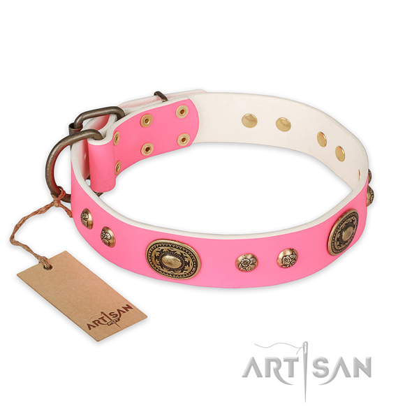 Awesome full grain genuine leather dog collar for stylish walking