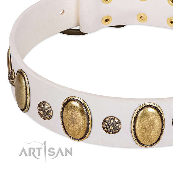 Fancy walking soft to touch leather dog collar with studs
