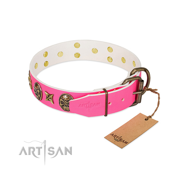 Durable hardware on full grain natural leather collar for fancy walking your pet