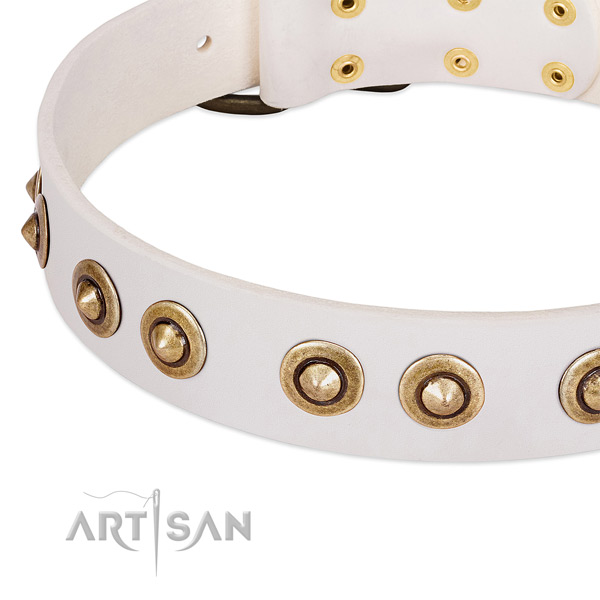 Reliable hardware on full grain genuine leather dog collar for your four-legged friend