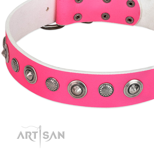 Full grain natural leather collar with corrosion proof buckle for your attractive four-legged friend