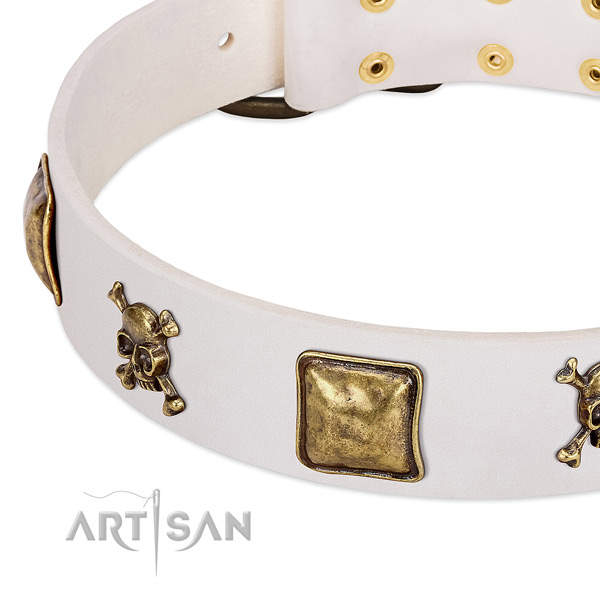 Inimitable full grain leather dog collar with durable embellishments