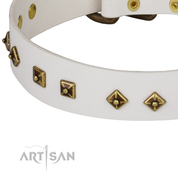 Stylish design leather collar for your lovely dog