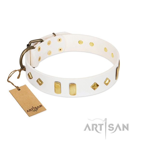 Walking best quality full grain genuine leather dog collar with adornments