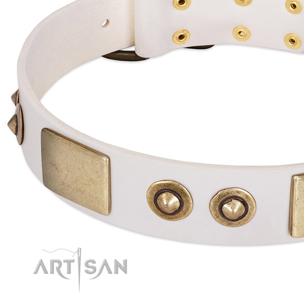Rust-proof D-ring on full grain leather dog collar for your canine