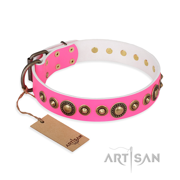 Top rate leather collar crafted for your canine