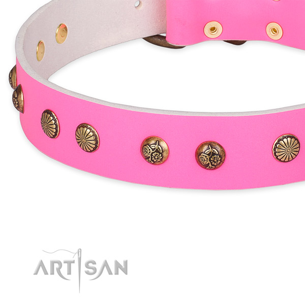Unique genuine leather collar for your beautiful dog