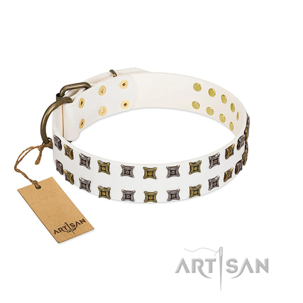High quality full grain natural leather dog collar with decorations for your four-legged friend