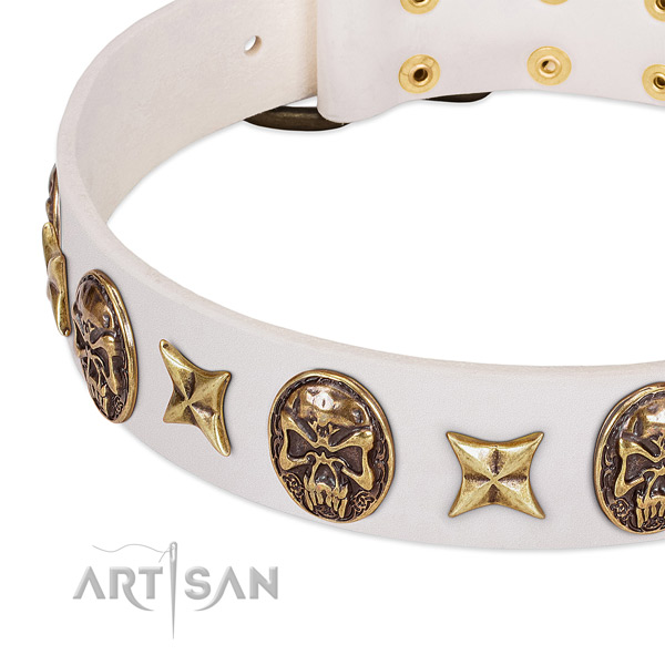 Best quality dog collar created for your impressive doggie
