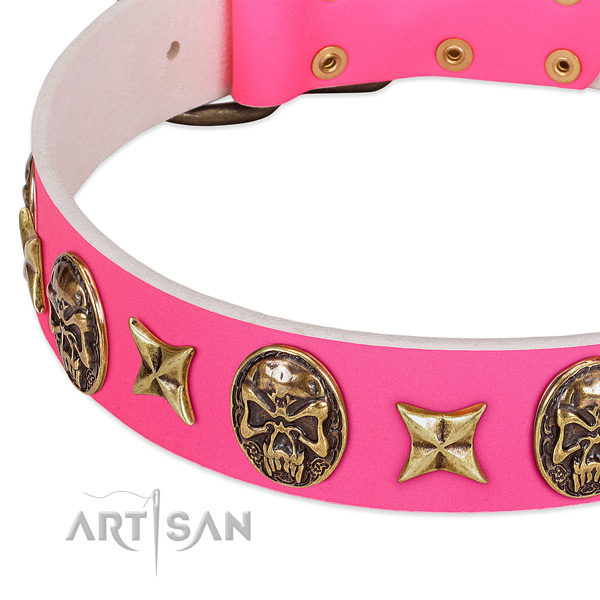 Natural leather dog collar with unique embellishments