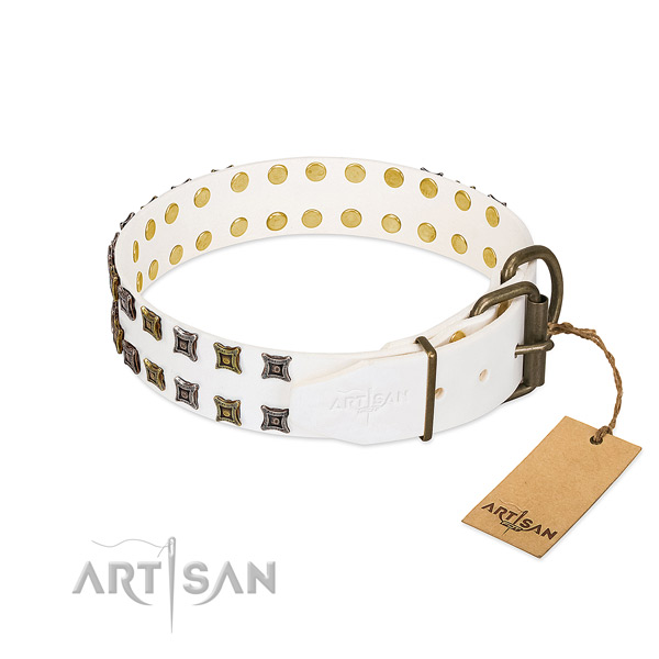 Natural leather collar with remarkable studs for your canine