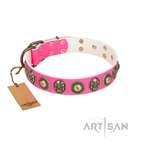 Easy wearing full grain leather dog collar for basic training your canine