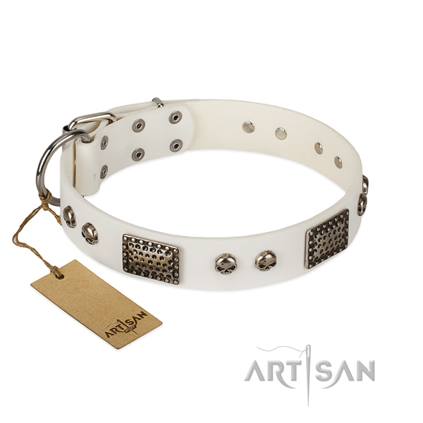 Easy wearing leather dog collar for daily walking your pet